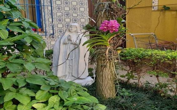 Passeios Diários e Contato com a Natureza: Por Que Isso Importa na Terceira Idade?